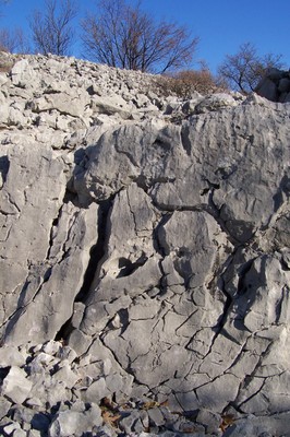 Karst limestone dissolution fractures